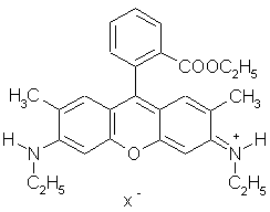 Structural formula for rhodamine 6G